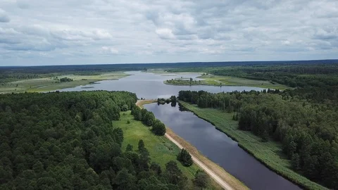 River in the forest from the air Stock Footage 91363129