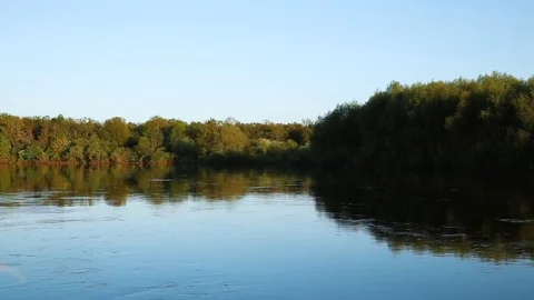 River, forest and blue sky Stock Footage