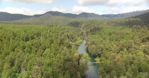 River forest and bridge at Huilo Huilo Park - Patagonia - Chile Stock Footage 78204410