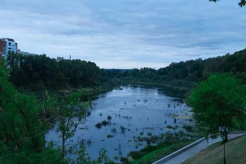 River forest and bridge 写真素材