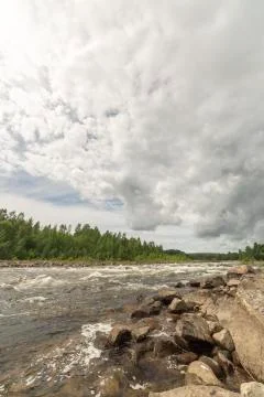 River with Forest and Cloudy Sky Stock Photos