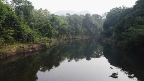 River in forest and mountain view drone shot 4k 30p Stock Footage 231295012
