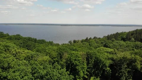 River forest and sky view from drone Stock Footage 233814125