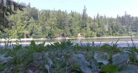 River, forest and small settlement Stock Footage 86296790