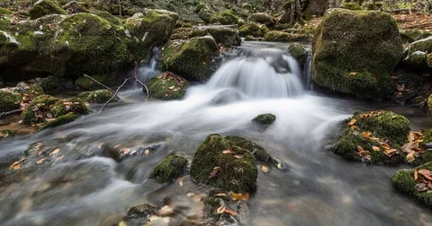 River in the forest at autumn 動画素材 82725501