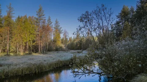 River in forest. Autumn. Sunrise Stock Footage