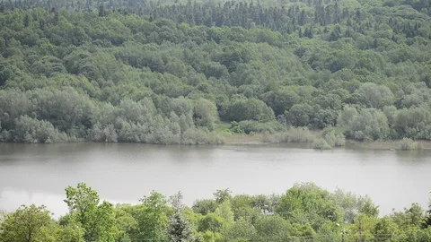 River in the forest on a background of mountains 動画素材 109501824