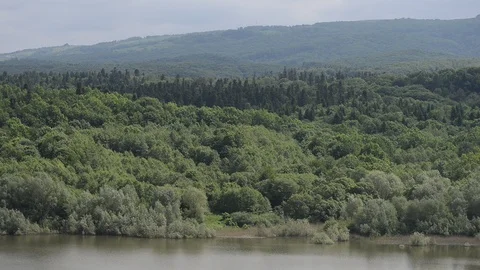 River in the forest on a background of mountains 動画素材 109502210