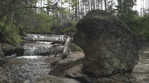 A RIVER IN THE FOREST, A BIG STONE IN THE CENTER Vídeo Stock 188146087