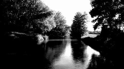 River in forest black and white Stock Footage 34829394