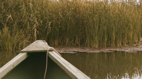 River Forest Boat 2 Stock Footage 58482640