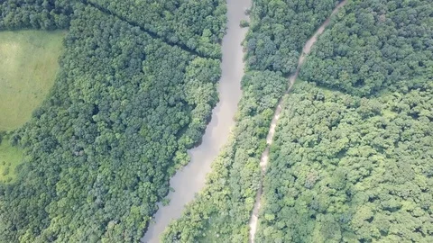 River Forest Bridge Roads Upward Pan Stock Footage 91751742
