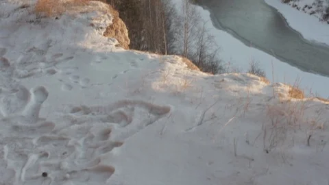 River in the forest during the sunset Stock Footage 85687811