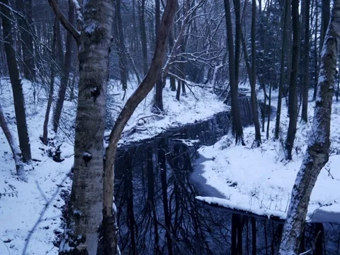 River in forest during winter with everything covered in snow Stock Footage 342543713