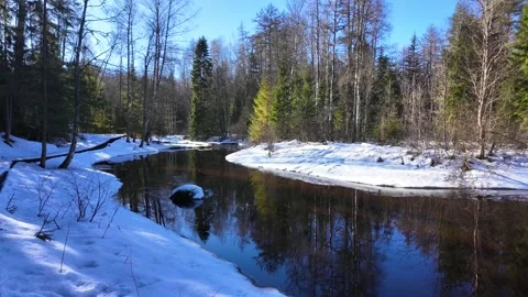 A river in the forest in early spring. Slowmotion Stock-Footage 334059115