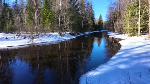 A river in the forest in early spring. Slowmotion Stock Footage 334059146
