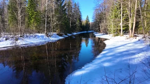 A river in the forest in early spring. Slowmotion Stock-Footage 334059148