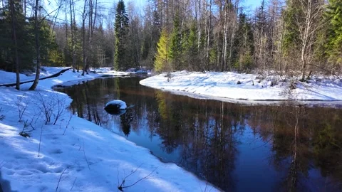 A river in the forest in early spring. Slowmotion Stock-Footage 334059180