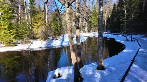 A river in the forest in early spring. Slowmotion Stock-Footage 334059212