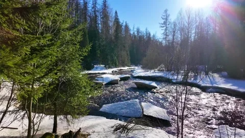 A river in the forest in early spring. Slowmotion Stock-Footage 334059270