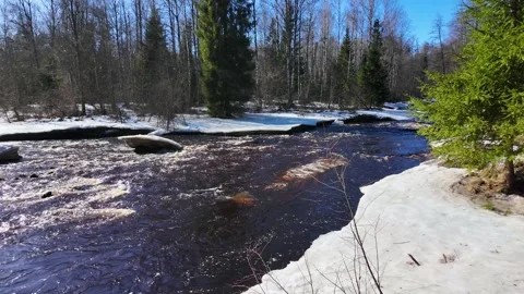 A river in the forest in early spring. Slowmotion Video stock 334059421