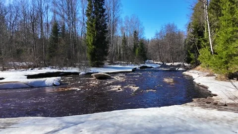 A river in the forest in early spring on a sunny day Stock-Footage 335083814