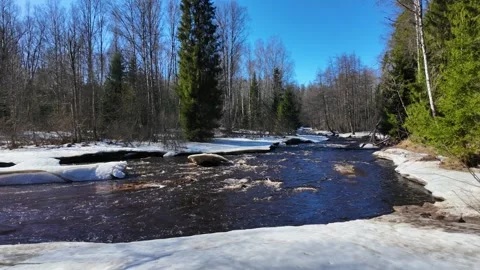 A river in the forest in early spring on a sunny day Stock-Footage 335085097