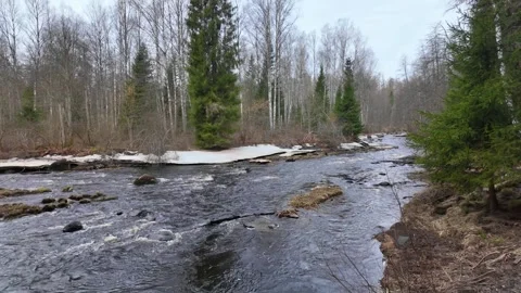 A river in the forest in early spring on a sunny day Stock-Footage 335306846