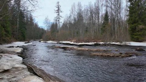A river in the forest in early spring on a sunny day Stock-Footage 335306904