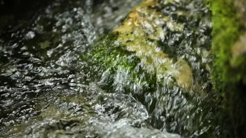 River in the forest. a fast stream flows between the stones covered with moss. Stock Footage 245709841