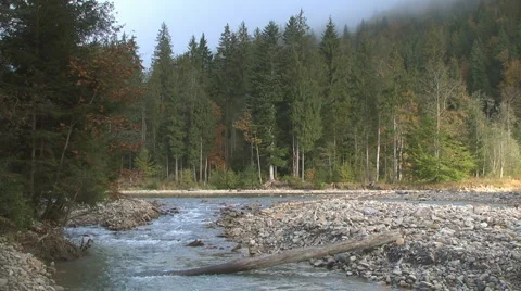 River in forest Video stock 950947