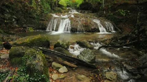 River in forest 動画素材 11196543