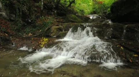 River in forest Stock Footage 11196548