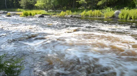 River in Forest Stock Footage 24618576
