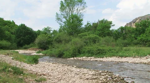 River in a forest Stock Footage 33547733