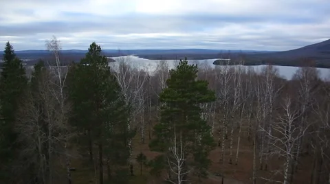 The river in the forest Stock Footage 37882566