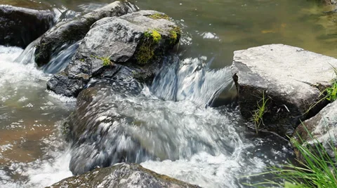 River In The Forest Video stock 39447409