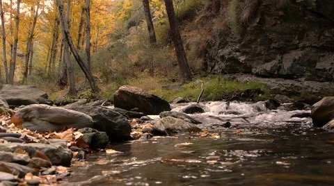 River in the forest Stock Footage 44299585