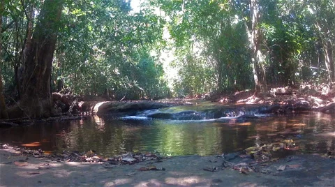 River in the forest Stock Footage 48921513