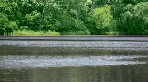 River in forest Stock Footage 52370971