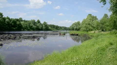 River in forest Stock Footage 52371387