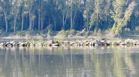 River, Forest Video stock 53858567