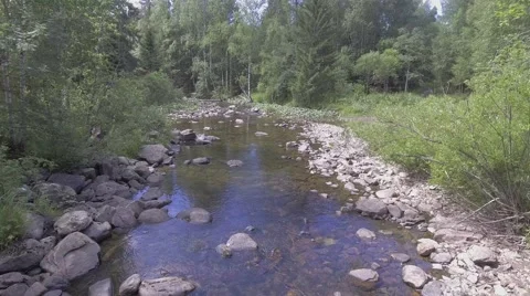 River in the forest Stock Footage 65639343