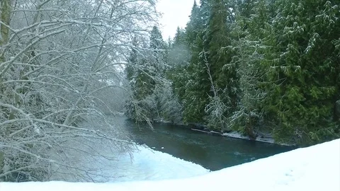 River in the forest Stock Footage 72167450