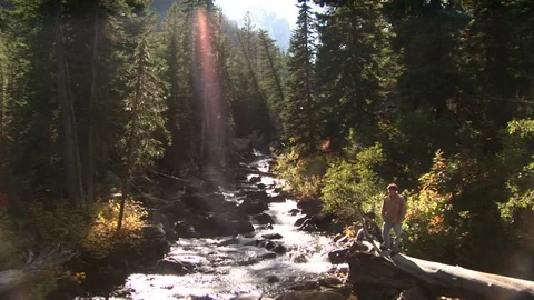 A river in the forest Stock Footage 72571616