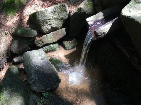 River in forest Stock Footage