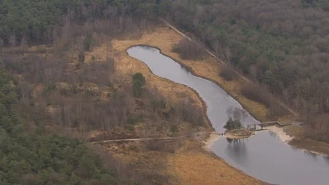 River in a forest Stock Footage 85916591