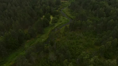 River in the forest 스톡 동영상 92458285