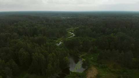 River in the forest Vidéo 92458380