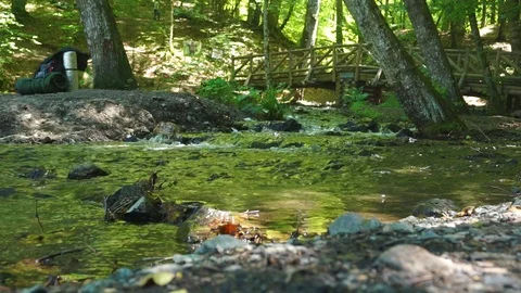 River in forest Stock Footage 92853590